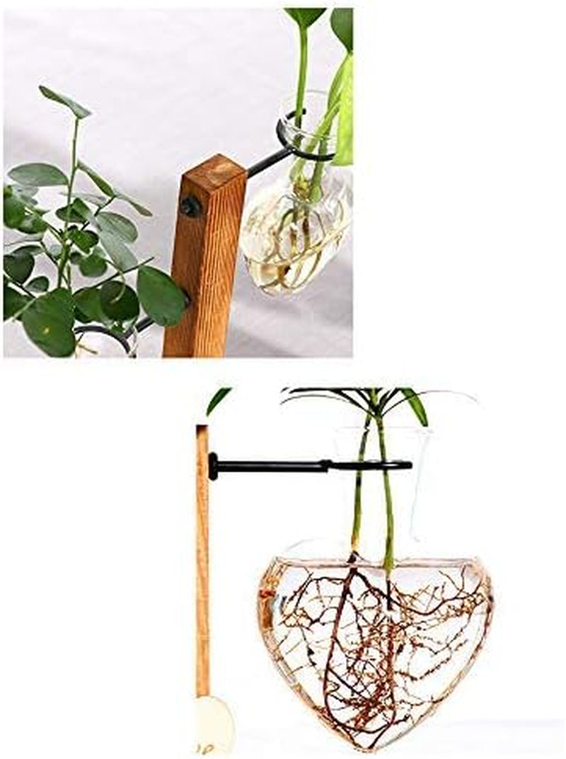 Hydroponic Vase Propagation Station Vintage Desktop Plant Terrarium Planter Bulb Vase Water Planting Propagation Heart （2 Bulb Vase