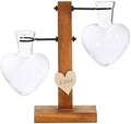 Hydroponic Vase Propagation Station Vintage Desktop Plant Terrarium Planter Bulb Vase Water Planting Propagation Heart （2 Bulb Vase